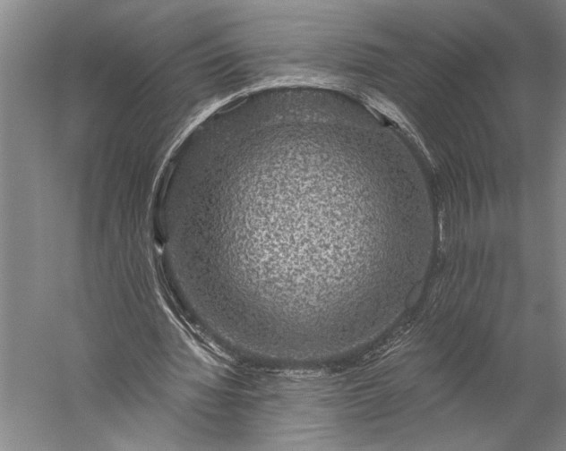 X0000056370436200509091653