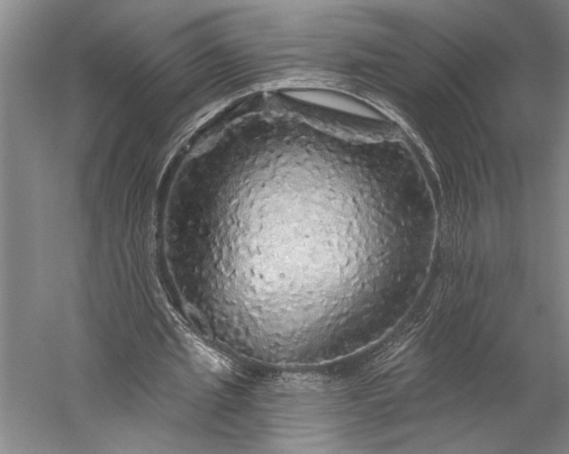 X0000056370437200509091653