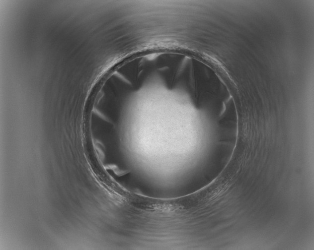 X0000056370439200509091653