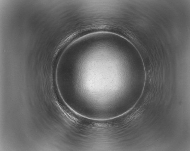 X0000056370442200509091653