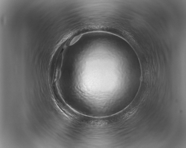 X0000056370443200509091653