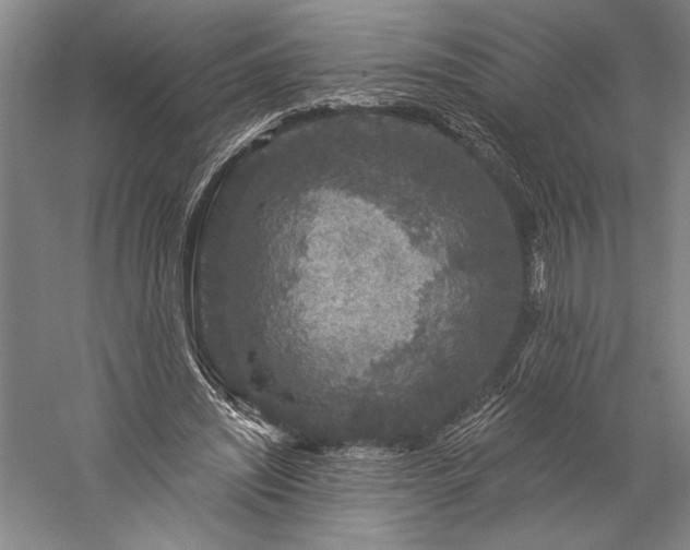 X0000056370444200509091653