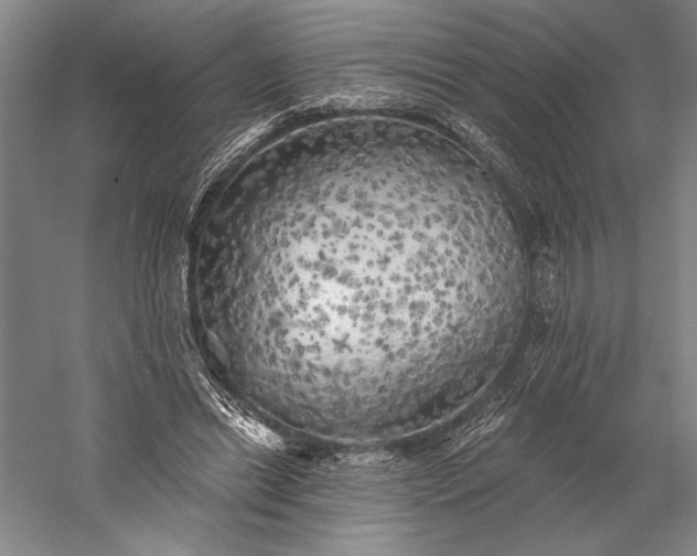 X0000056370446200509091653