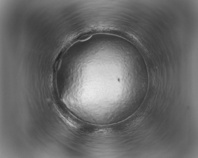 X0000056370447200509091653