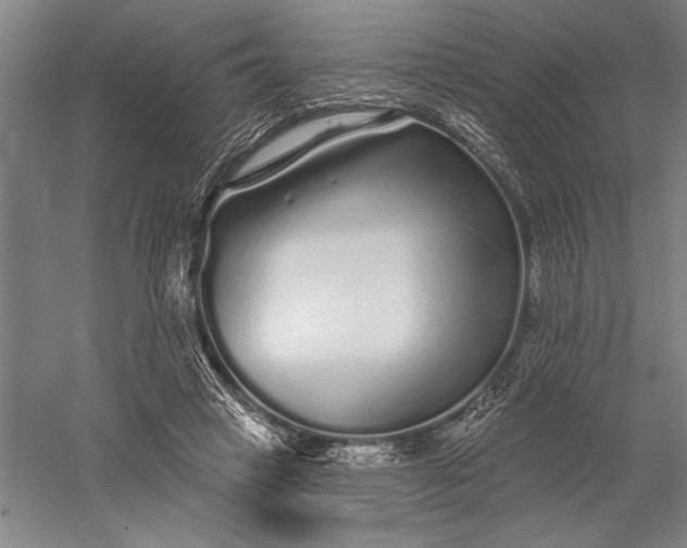 X0000056370449200509091653