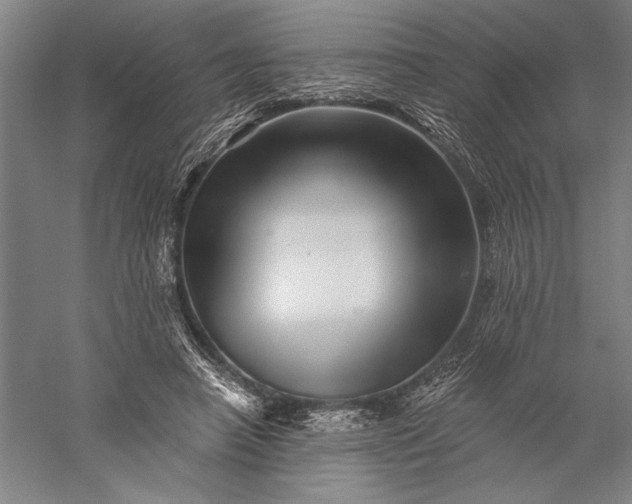 X0000056370450200509091653