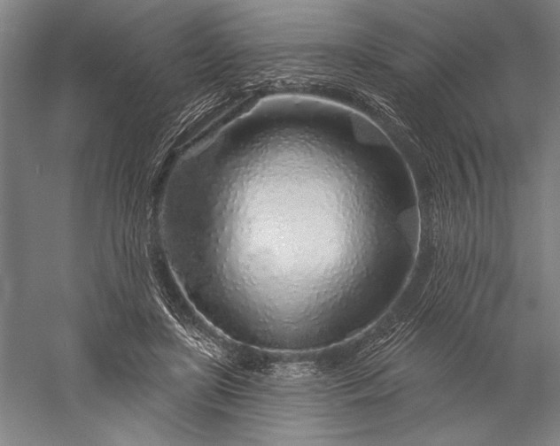 X0000056370451200509091653