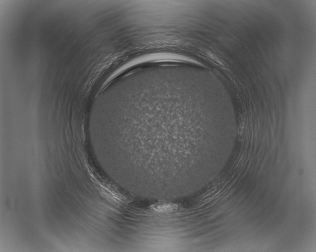 X0000056370452200509091653