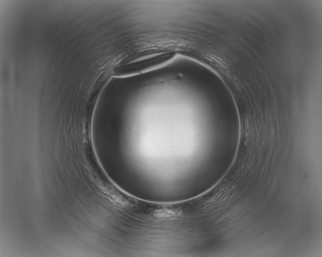 X0000056370453200509091653