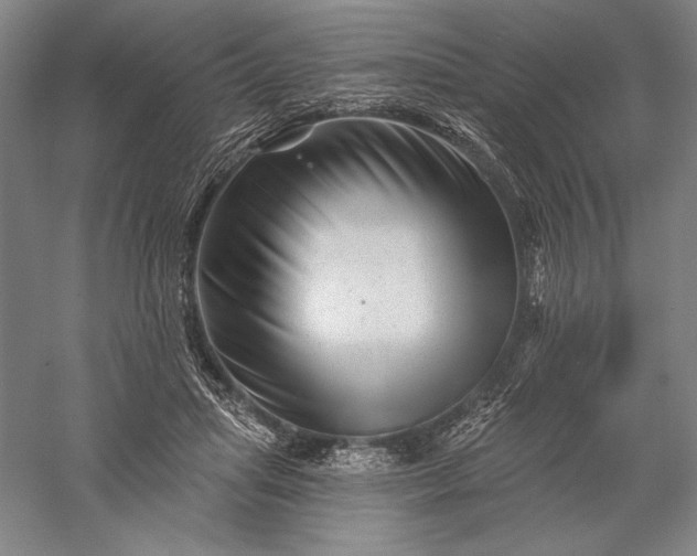 X0000056370455200509091653