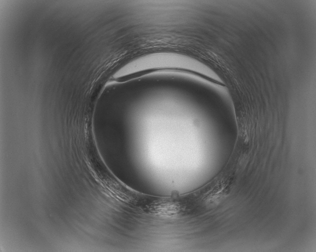 X0000056370456200509091653