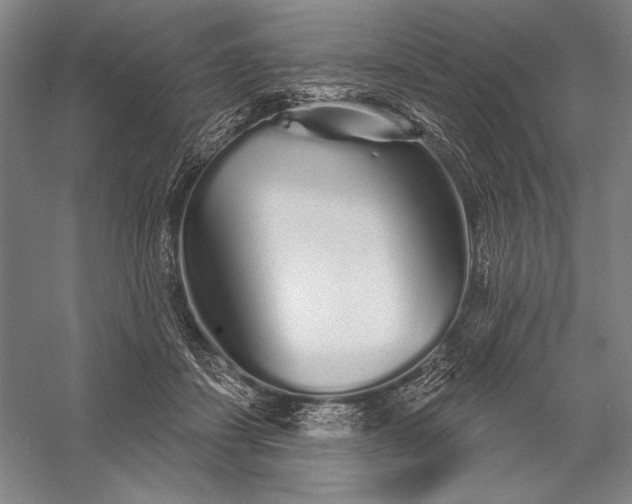 X0000056370459200509091653