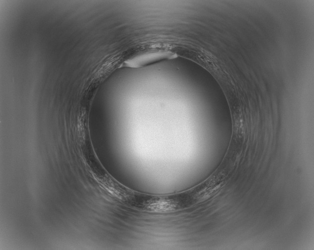 X0000056370460200509091653