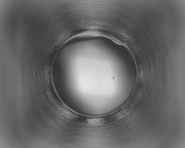 X0000056370461200509091653