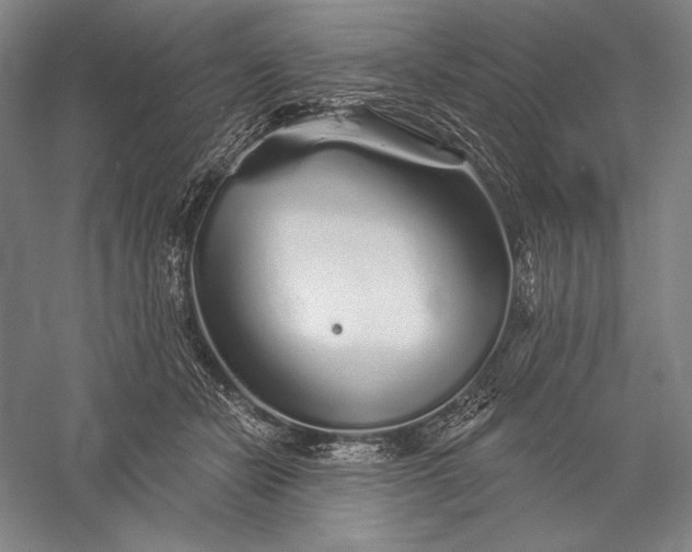 X0000056370462200509091653