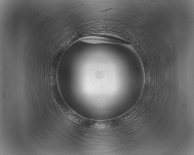 X0000056370464200509091653