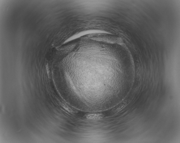 X0000056370465200509091653