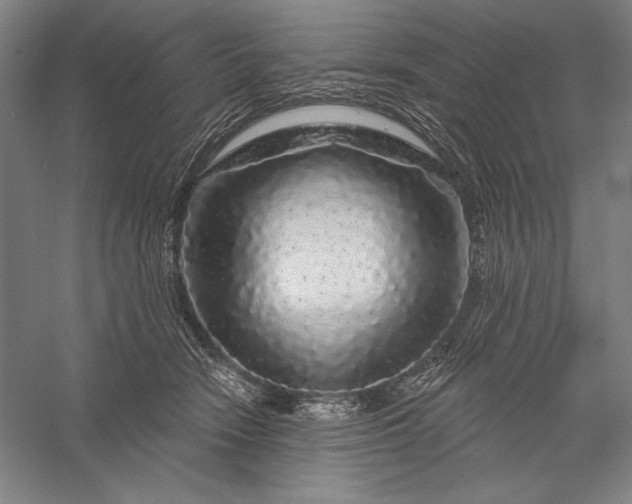 X0000056370466200509091653