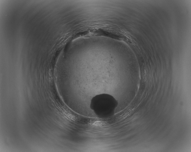 X0000056370467200509091653