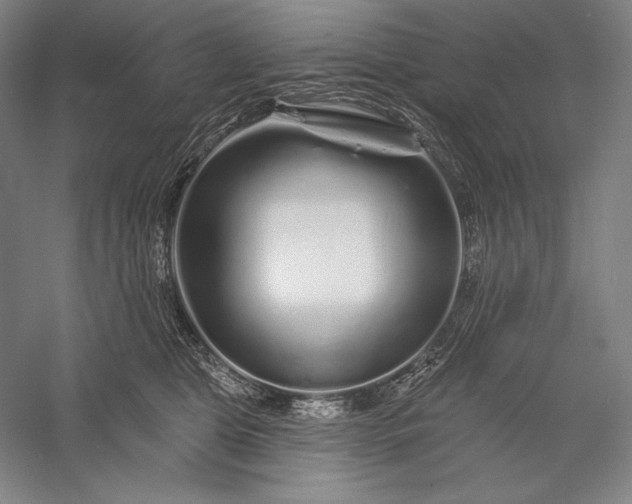 X0000056370469200509091653