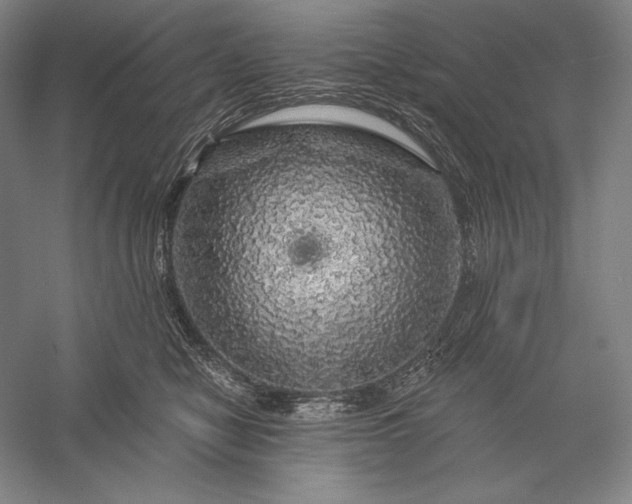 X0000056370470200509091653