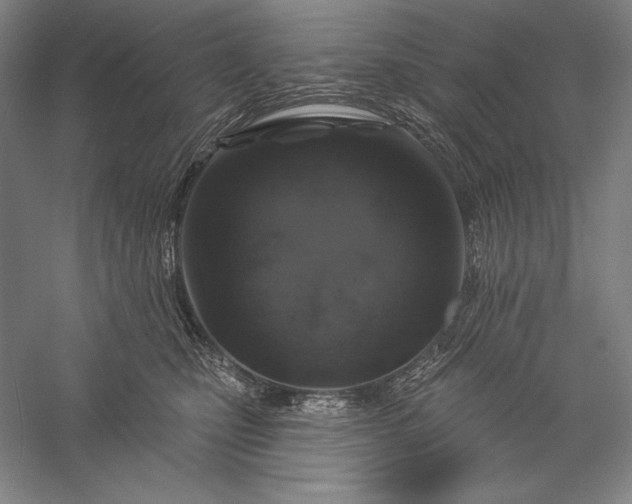 X0000056370471200509091653