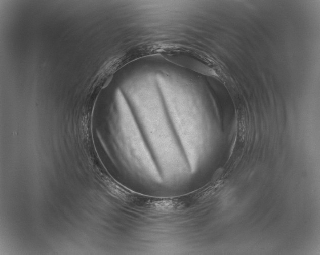 X0000056370473200509091653