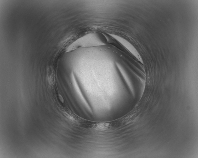 X0000056370474200509091653