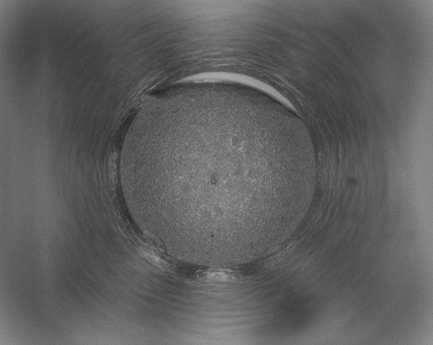 X0000056370475200509091653