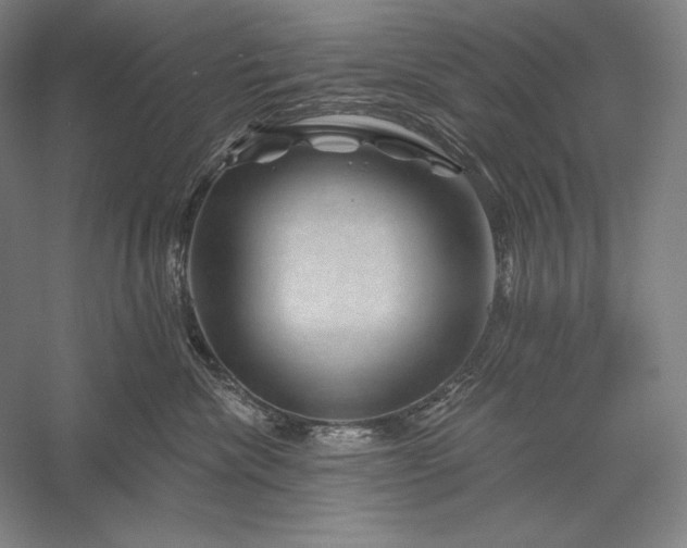 X0000056370476200509091653