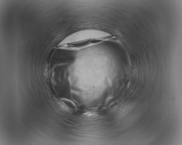 X0000056370477200509091653