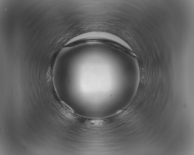 X0000056370478200509091654