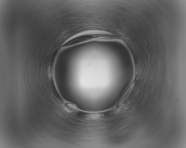 X0000056370479200509091654