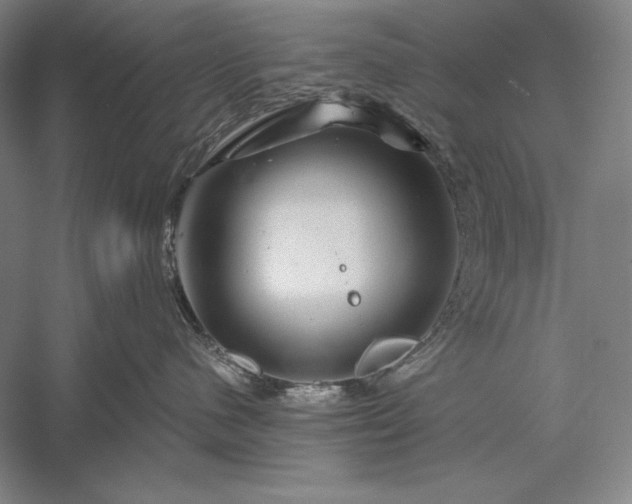 X0000056370480200509091654