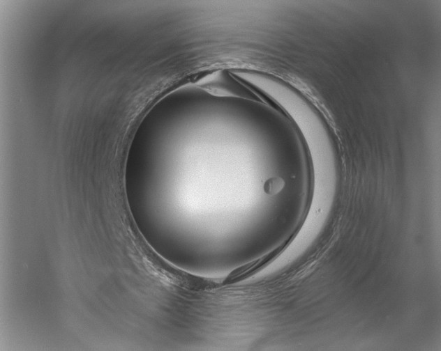 X0000056370481200509091653