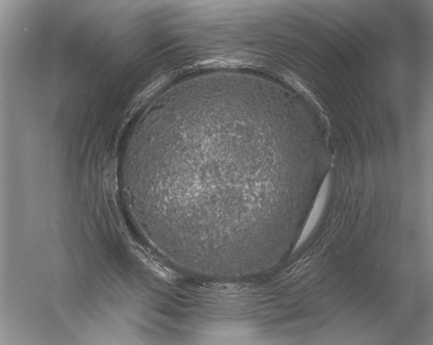 X0000056370486200509091653