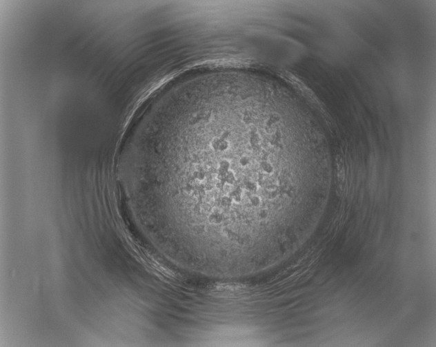 X0000056370487200509091653