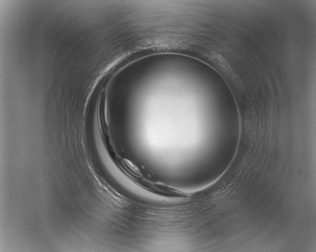 X0000056370488200509091653