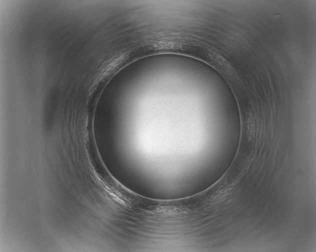 X0000056370490200509091653