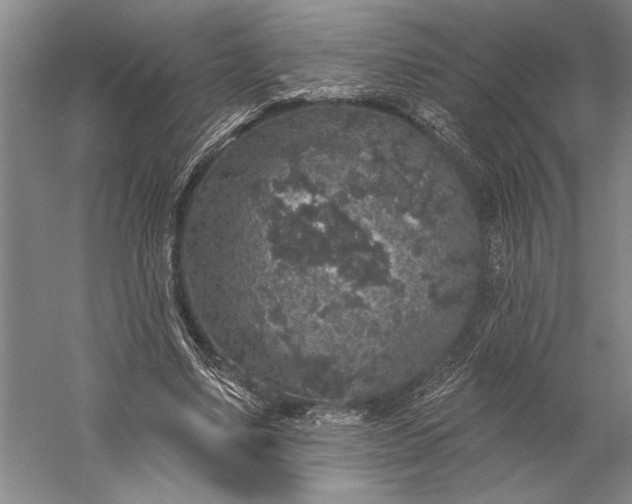 X0000056370491200509091653