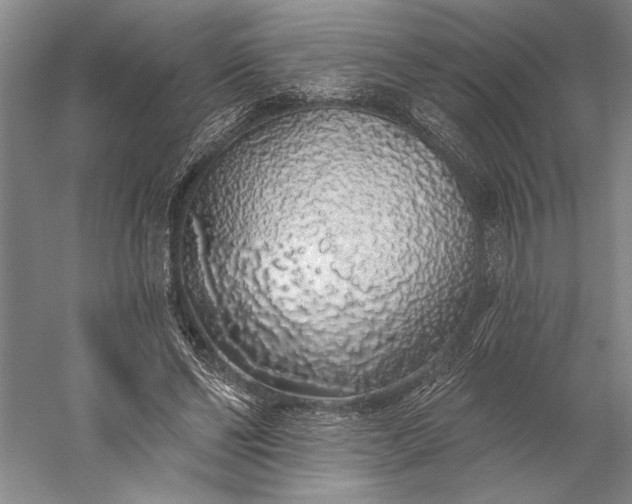 X0000056370494200509091653