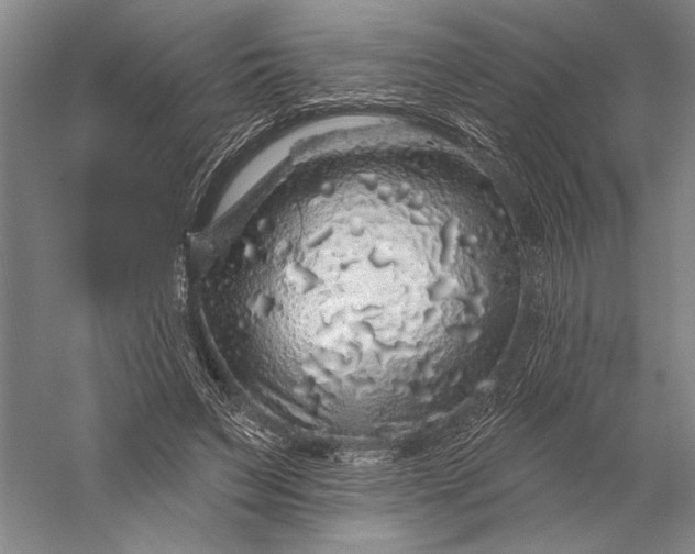 X0000056370495200509091652