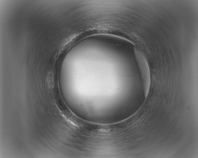 X0000056370496200509091652