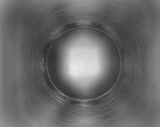 X0000056370498200509091652