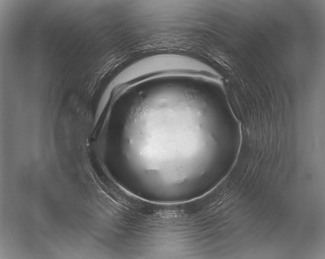 X0000056370499200509091652