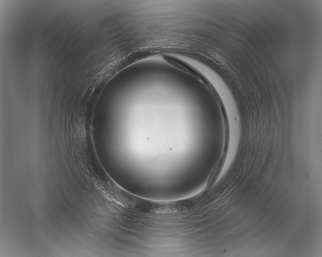 X0000056370500200509091652