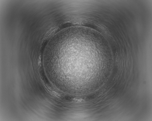 X0000056370502200509091652