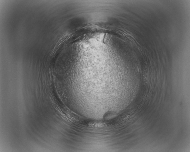 X0000056370503200509091652