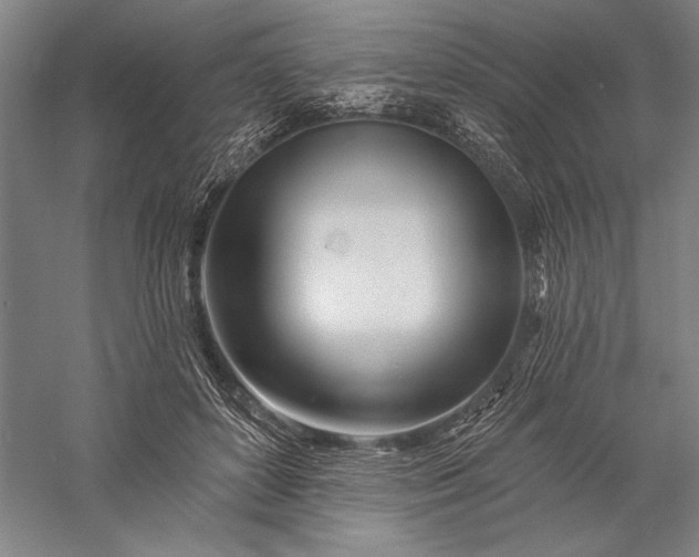 X0000056370504200509091652