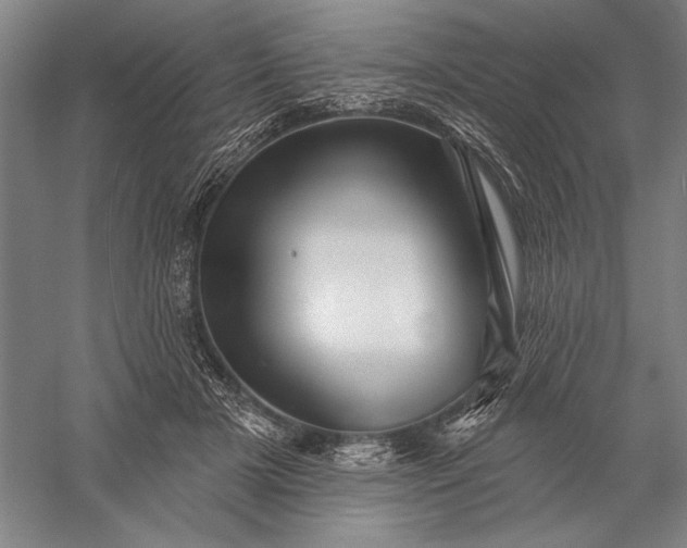 X0000056370505200509091652